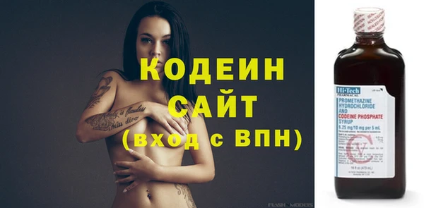 кокс Алексин